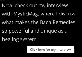 New: check out my interview with MysticMag, where I discuss what makes the Bach Remedies so powerful and unique as a healing system! Click here for my interview! Click here for my interview!